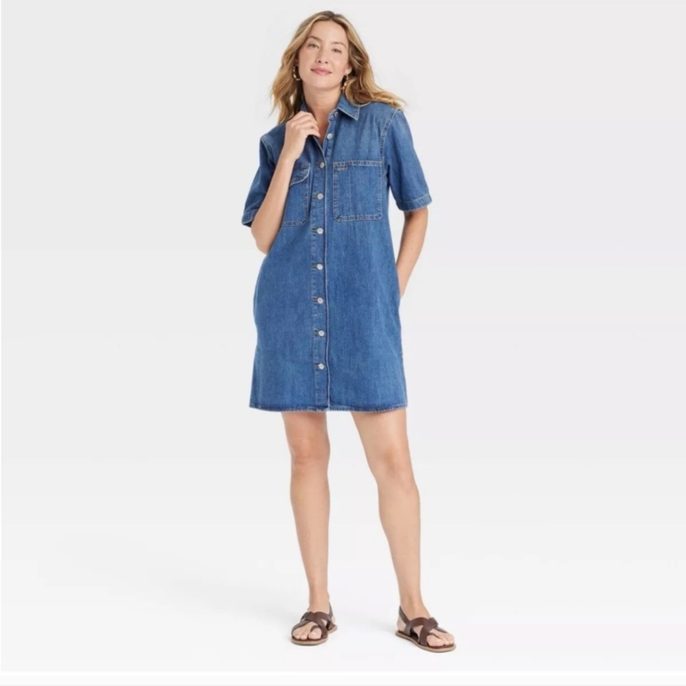 Denim Button Down Dress